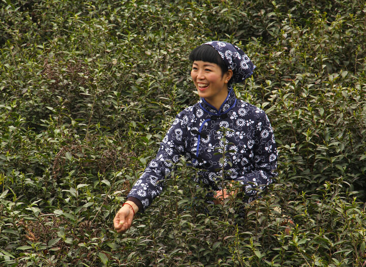 17间房主播跳舞 直播7